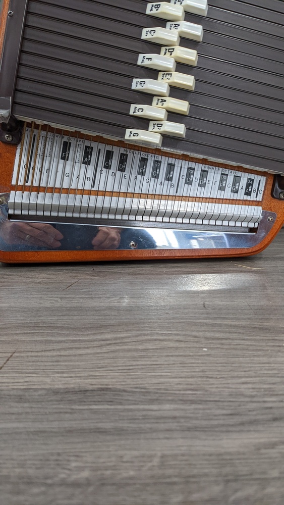 Autoharp by Oscar Schmidt + Case Avenue Shop Swap & Sell