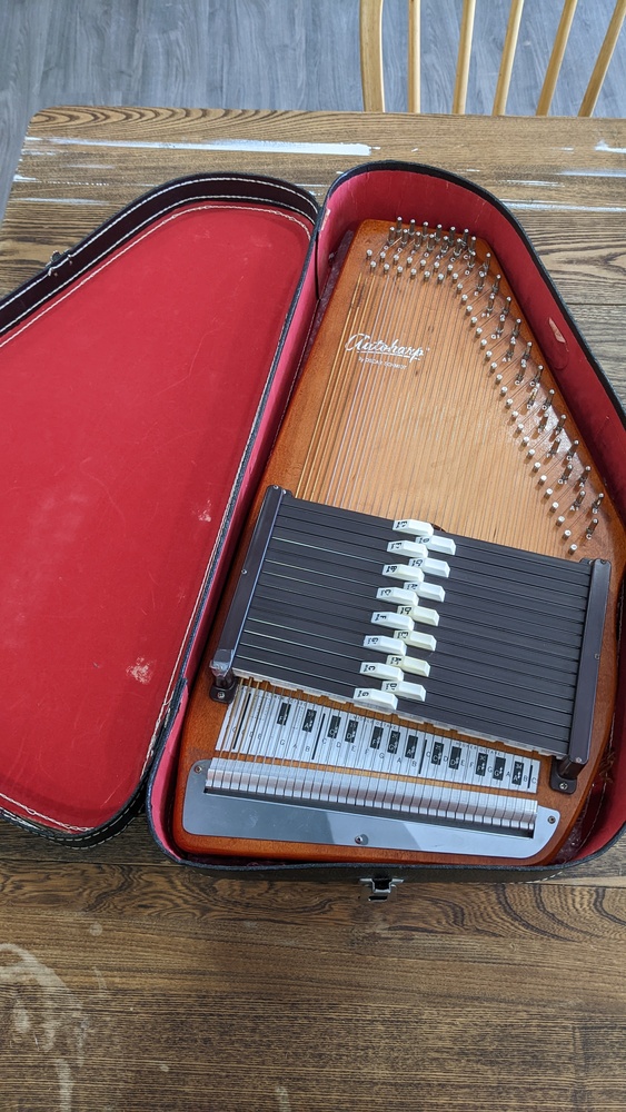 Autoharp by Oscar Schmidt + Case Avenue Shop Swap & Sell
