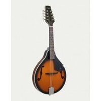 **NEW** ARIA AM-20 SPRUCE TOP MANDOLIN - SUNBURST