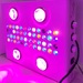 Noah4s 300w LED Grow Light