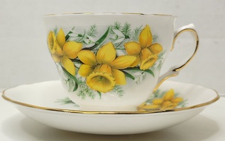 Vintage Colclough Daffodil Bone China Teacup & Saucer Set - Pattern No.7874 
