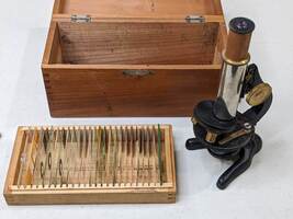Vintage German Brass Mini Microscope w/ Human Nature Specimen Slides Wooden Box