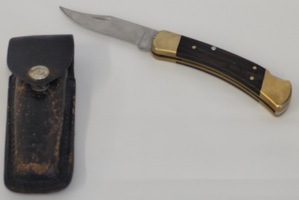 BUCK 110 FOLDING KNIFE 