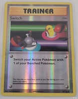 POKEMON SHINY TRAINER CARD 