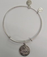 Alex and Ani 2013 Capricorn Silver Bangle Bracelet