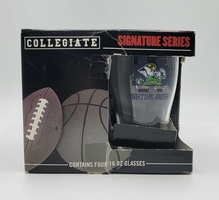Collegiate Signature Series Notre Dame Fighting Irish 16oz Glasses Set