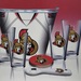 NHL Ottawa Senators Ice Bucket Set *New*