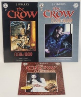Kitchen Sink Comix The Crow: Flesh and Blood 1996 Issues 1-3 