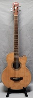 Ibanez AEB105E Acoustic/Electric 5-String Right Handed Bass Guitar