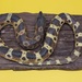 Vintage Hoghead Snake Mounted Replica