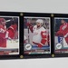 Upper Deck Detroit Red Wings Card Plaque - Nyquist/Zetterberg/Mantha Series 1