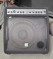 Yorkville Compact Powered Monitor/Instrument Amplifier 50W