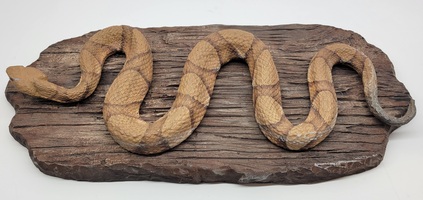 Vintage Southern Copperhead Mounted Snake Replica 
