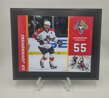 Ed Jovanovski Florida Panthers #55 Mounted Plaque