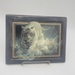 The Bradford Exchange Limited Edition Collector's Plate White Lightning 1998