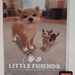 Little Friends Dogs & Cats (Nintendo Switch, 2019)