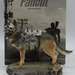 Fallout 4 Dogmeat 1:6 Scale Statue Chronicle Collectibles ThinkGeek 2019
