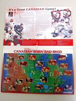 HOME GROWN CANADIAN HOCKEY HEROES 2003/04 PIN COLLECTION Full Set